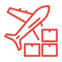Domestic Air Cargo